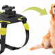 Image for article titled Man's Best Friend Gets Its Own Action Cam Mount Courtesy Of Sony